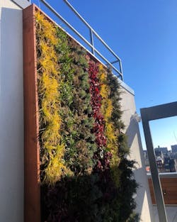 1652366327373 Ecobrooklynweb 1652366327373 Ecobrooklynweb