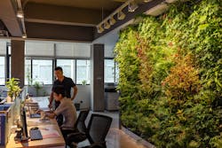 In addition to the visual and biophilic benefits, living walls are also green in an environmental sense, contributing to natural air purification, cooling and humidification.