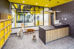 1 District Dogs Gtm Arch 1 District Dogs Gtm Arch