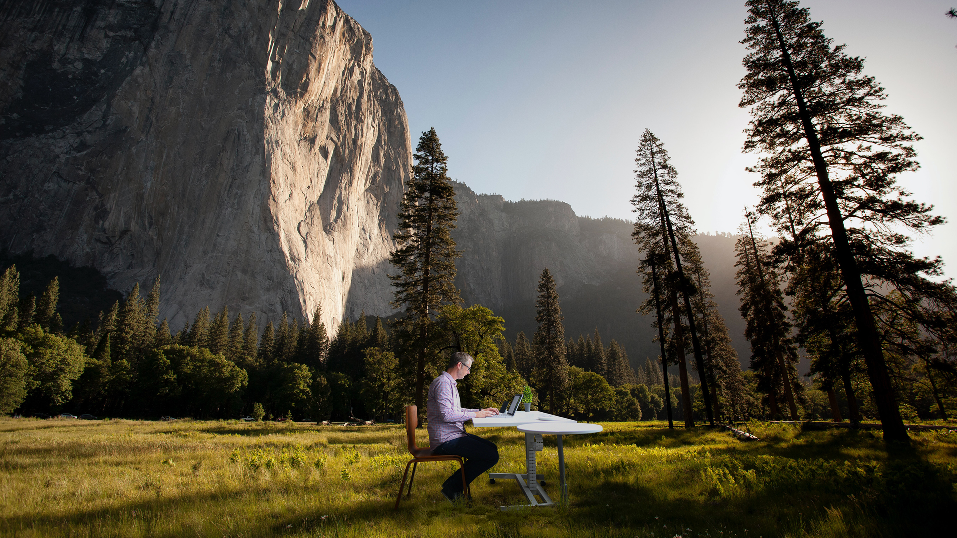 Biophilic sounds have beneficial impact on productivity and wellbeing in the workplace.