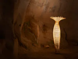 Limited Edition Morning Glory Floor Lamp Beit Guvrin National Park Photography Albi Serfaty 2 634027c302d87