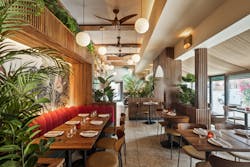 Baby Brasa Wca Web 6 Will Ellis Photo Baby Brasa Wca Web 6 Will Ellis Photo