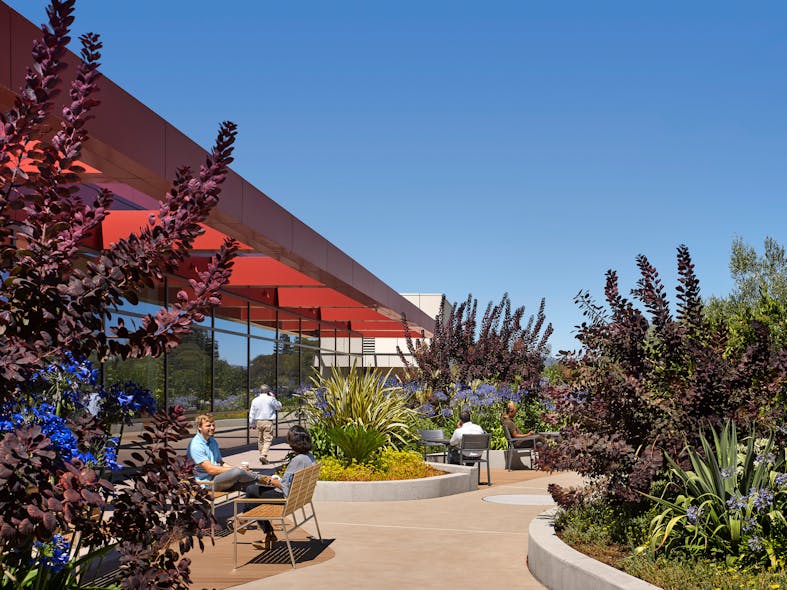 Outdoor access at Stanford Hospital in Palo Alto, Calif. means complete submersion in nature, surrounding the user with big, bold landscape architecture.