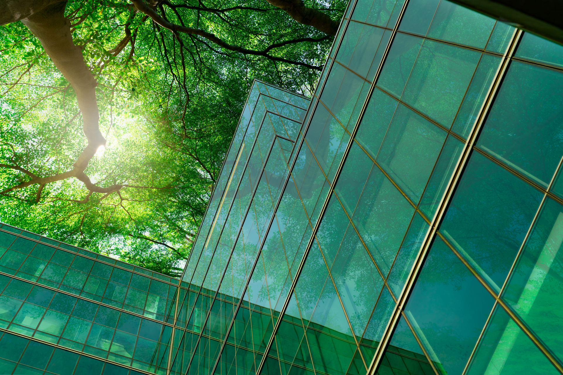 Dreamstime Xxl 225322664