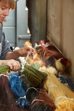 Metaphores Le Crin 004 Metaphores Le Crin 004