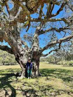 Daniel Michalik stands in front of a Cork Oak in the Montado, Alentejo Litoral, Portugal.