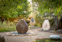 Stone Forest Stone Forest