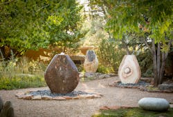 Stone Forest Stone Forest
