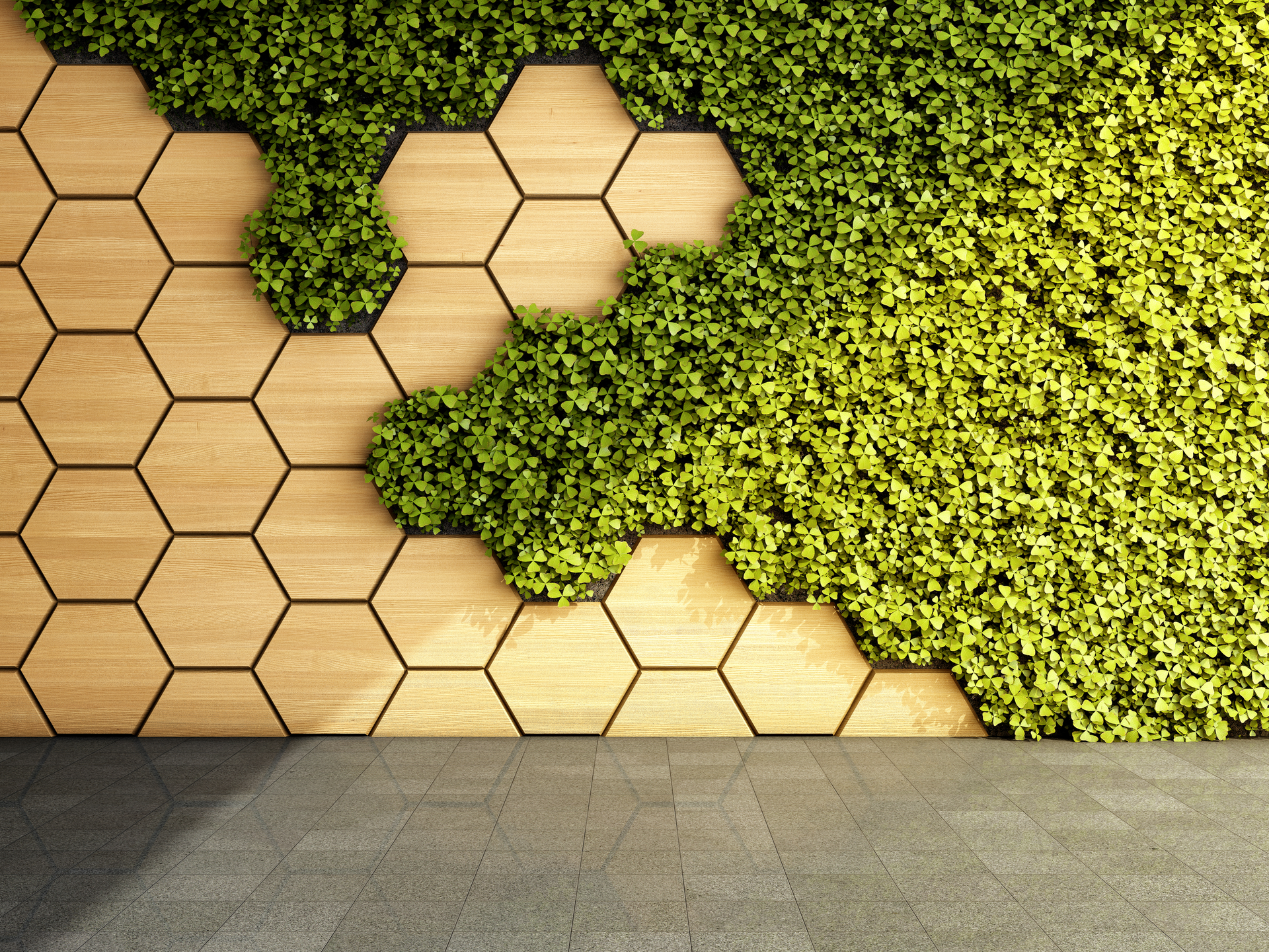 Dreamstime Xl 222308487 6502172069d48