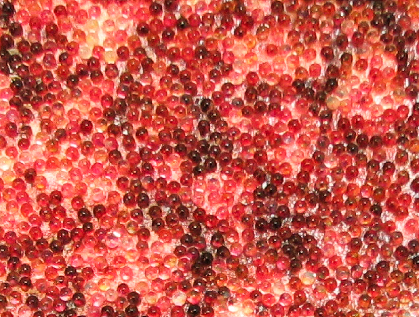 Beadazzled Flexible Glass Bead mural in red.