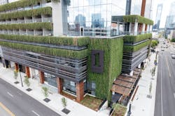 ivy_facade___credit__frawley__1_ ivy_facade___credit__frawley__1_