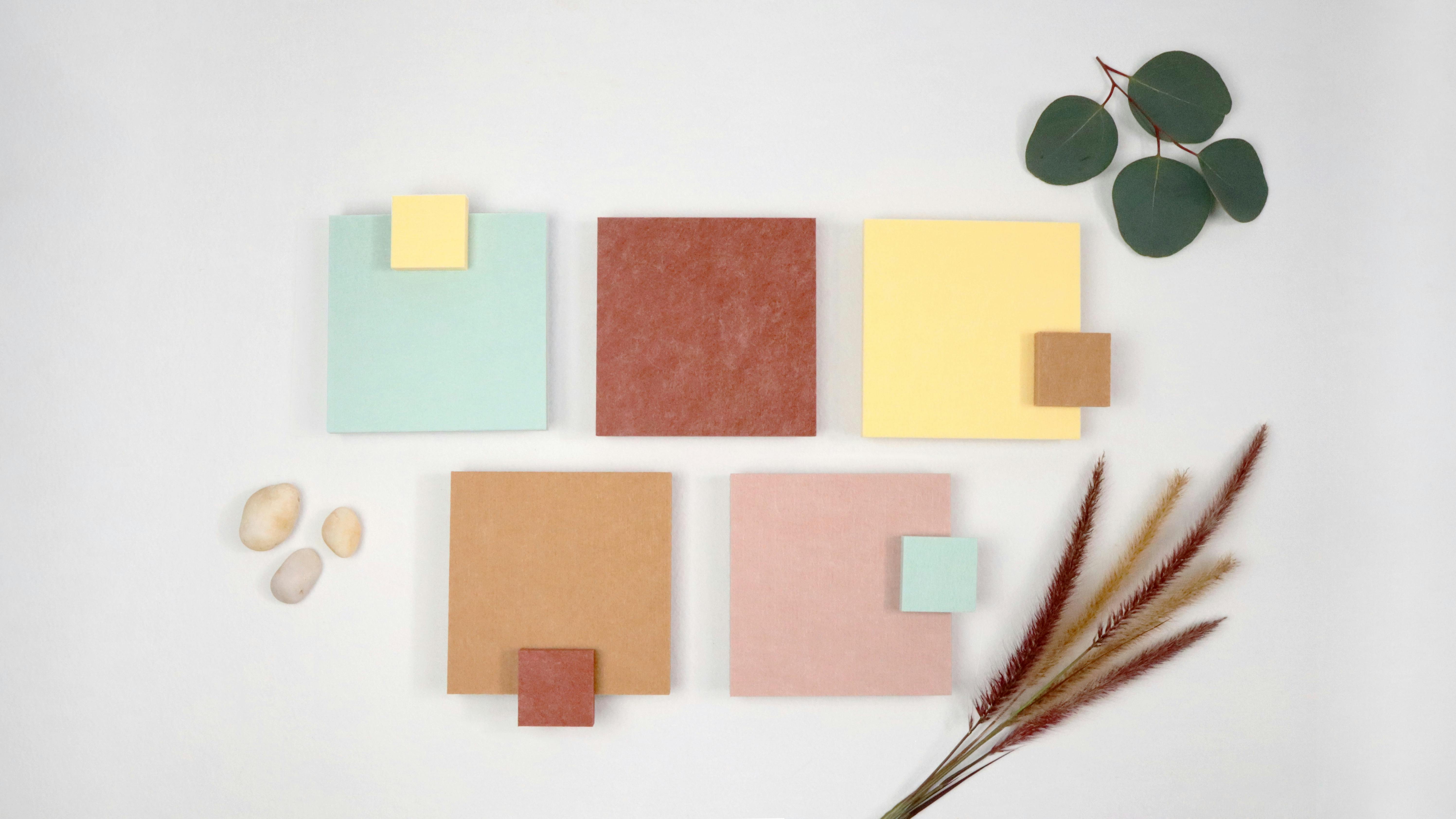 Kirei's five new PET colors: Mint, Cayenne, Butter, Nutmeg and Dusk.