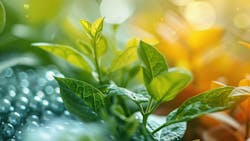 dreamstime_xxl_310382151 dreamstime_xxl_310382151