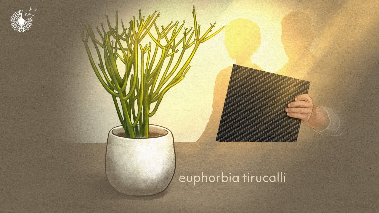 New Selfhealing Composite Material Boosts the Circular Economy I+S Design