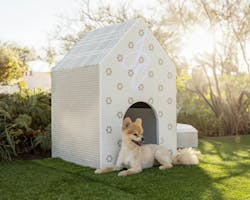Coverings 2024 Doghouses Jeffrey Court
