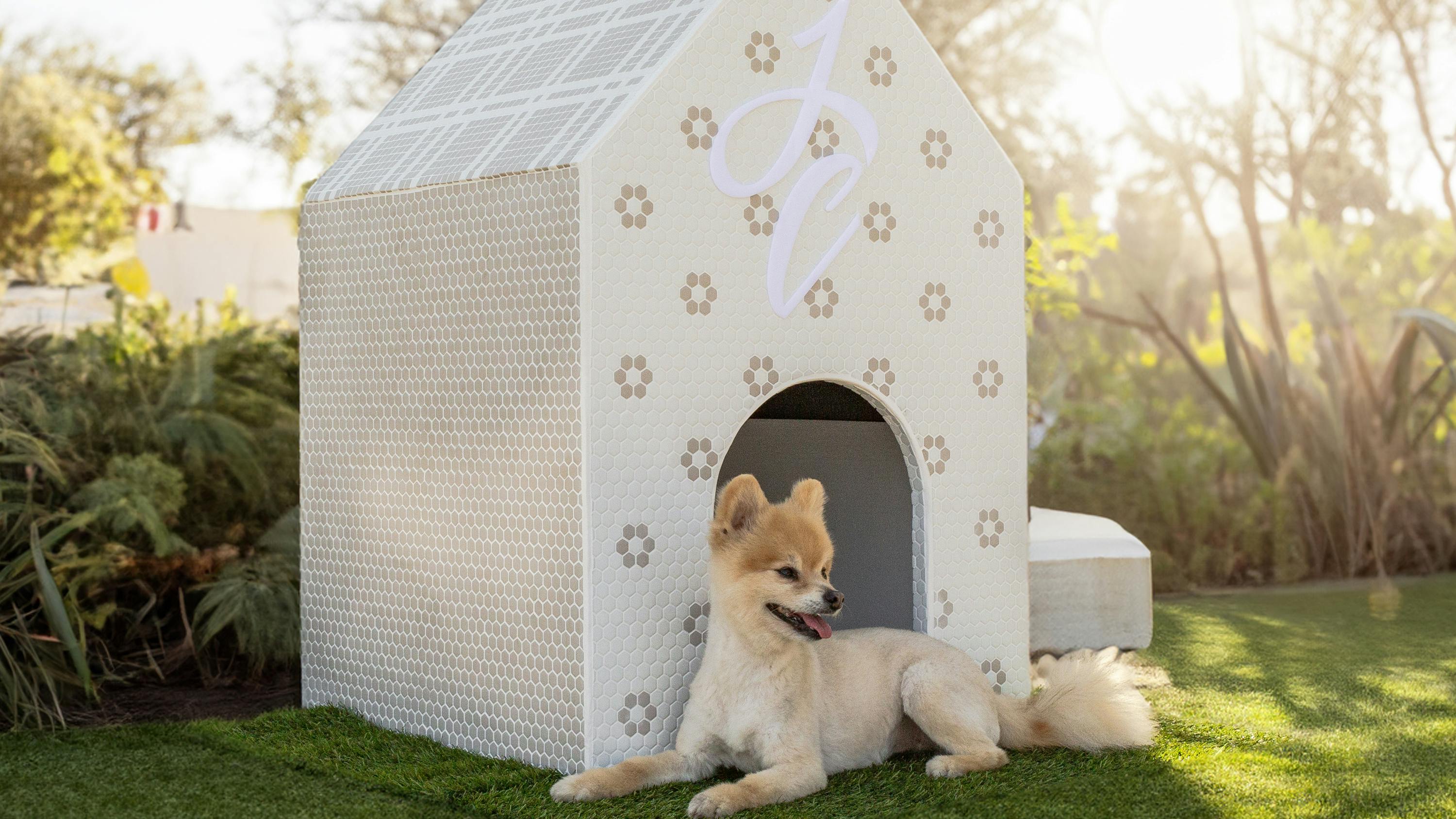 662fb472abda8f001e7e9964 Jeffrey Court