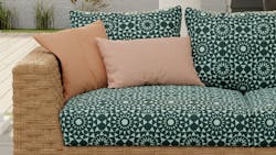 The Sundial pattern in seaweed. The Sundial pattern in seaweed.