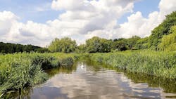 A variety of ecosystems and plant life will be allowed to rejuvenate once the new structure embeds within the landscape. A variety of ecosystems and plant life will be allowed to rejuvenate once the new structure embeds within the landscape.