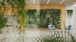 green-healthy-sustainable-office-concept