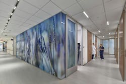 jefferson-honickman-center-hallway jefferson-honickman-center-hallway