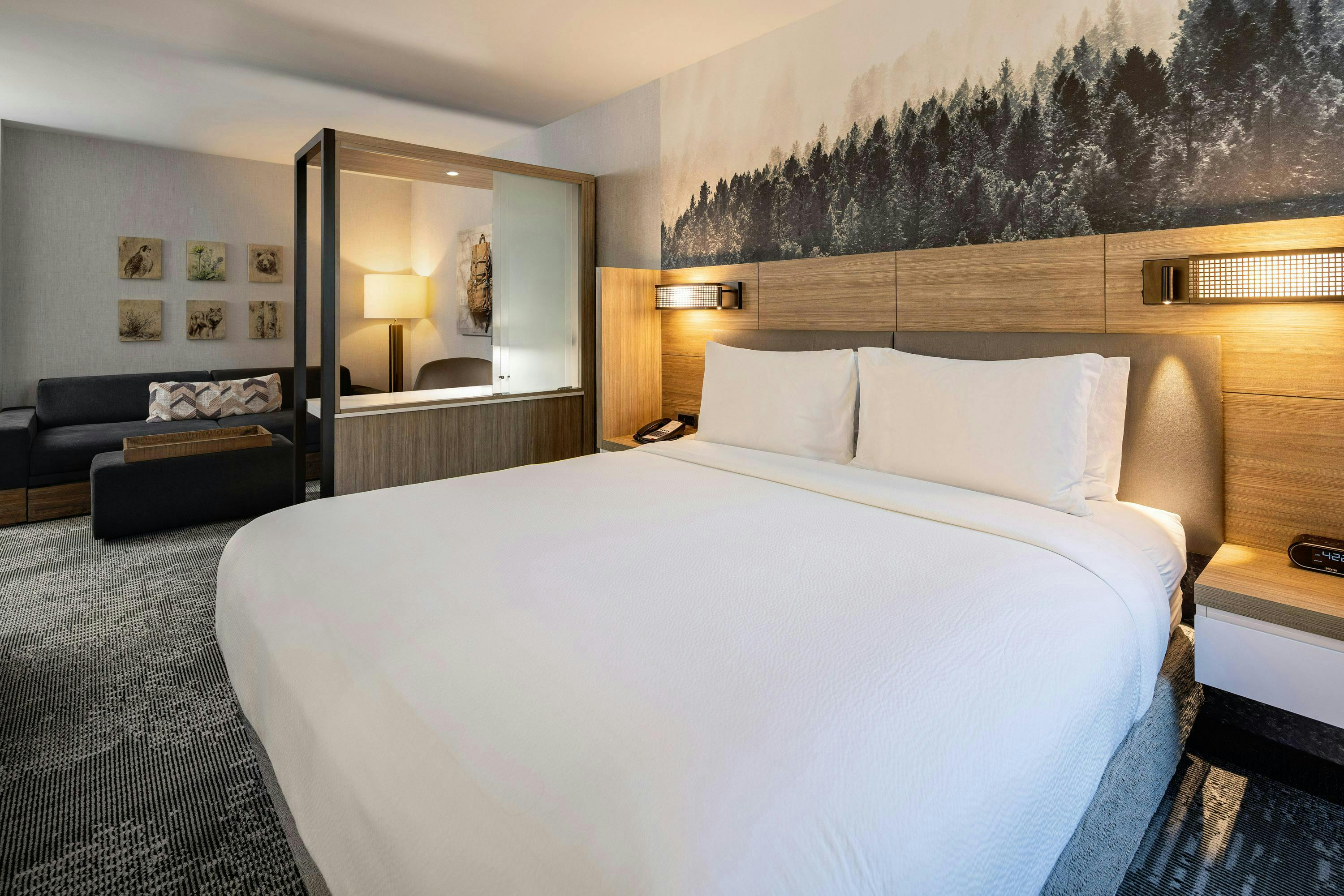 spring-hill-suites-jackson-hole-king spring-hill-suites-jackson-hole-king