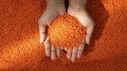 66defd349692b03687be0e02 Gettyimages1493181942 Hemantphotographer 66defd349692b03687be0e02 Gettyimages1493181942 Hemantphotographer