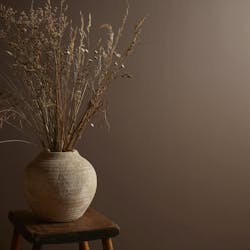 Elderton helps to bring the natural world indoors, offering a cozy ambiance when color-drenched in a room or creating a charming atmosphere alongside other neutrals. Elderton helps to bring the natural world indoors, offering a cozy ambiance when color-drenched in a room or creating a charming atmosphere alongside other neutrals.