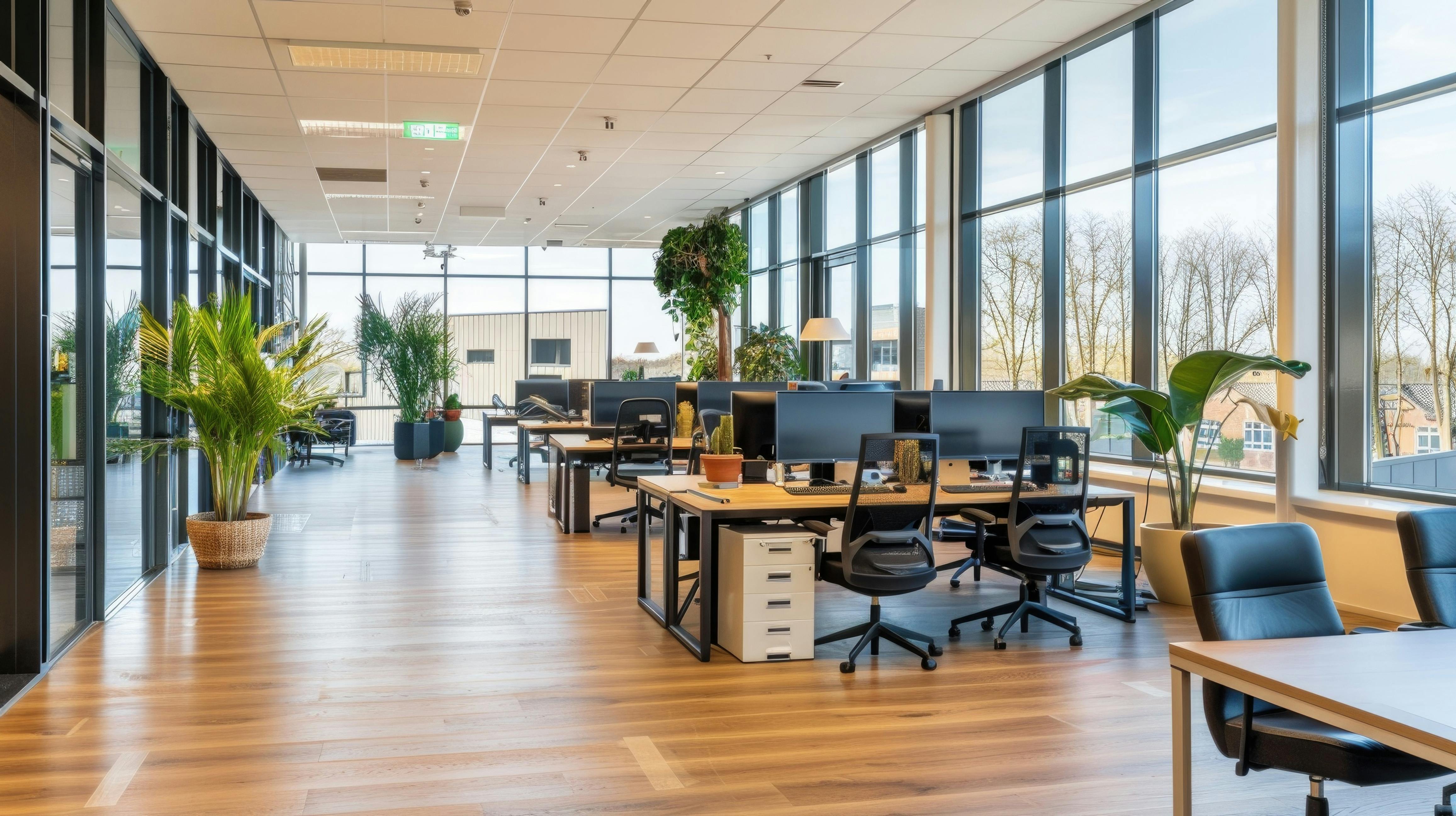A contemporary office with large windows and daylight, wood floors, desks and chairs with several potted plants.