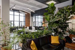 Distinct seating area alongside open office floorplan Distinct seating area alongside open office floorplan