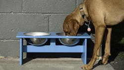 A dog drinks from one of the bowls in the Loll Designs double Dog Bowl. A dog drinks from one of the bowls in the Loll Designs double Dog Bowl.