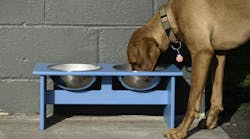 loll_designs_dog_bowl_6 loll_designs_dog_bowl_6
