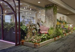 Exterior Greenery Display at Nevins Showroom Exterior Greenery Display at Nevins Showroom