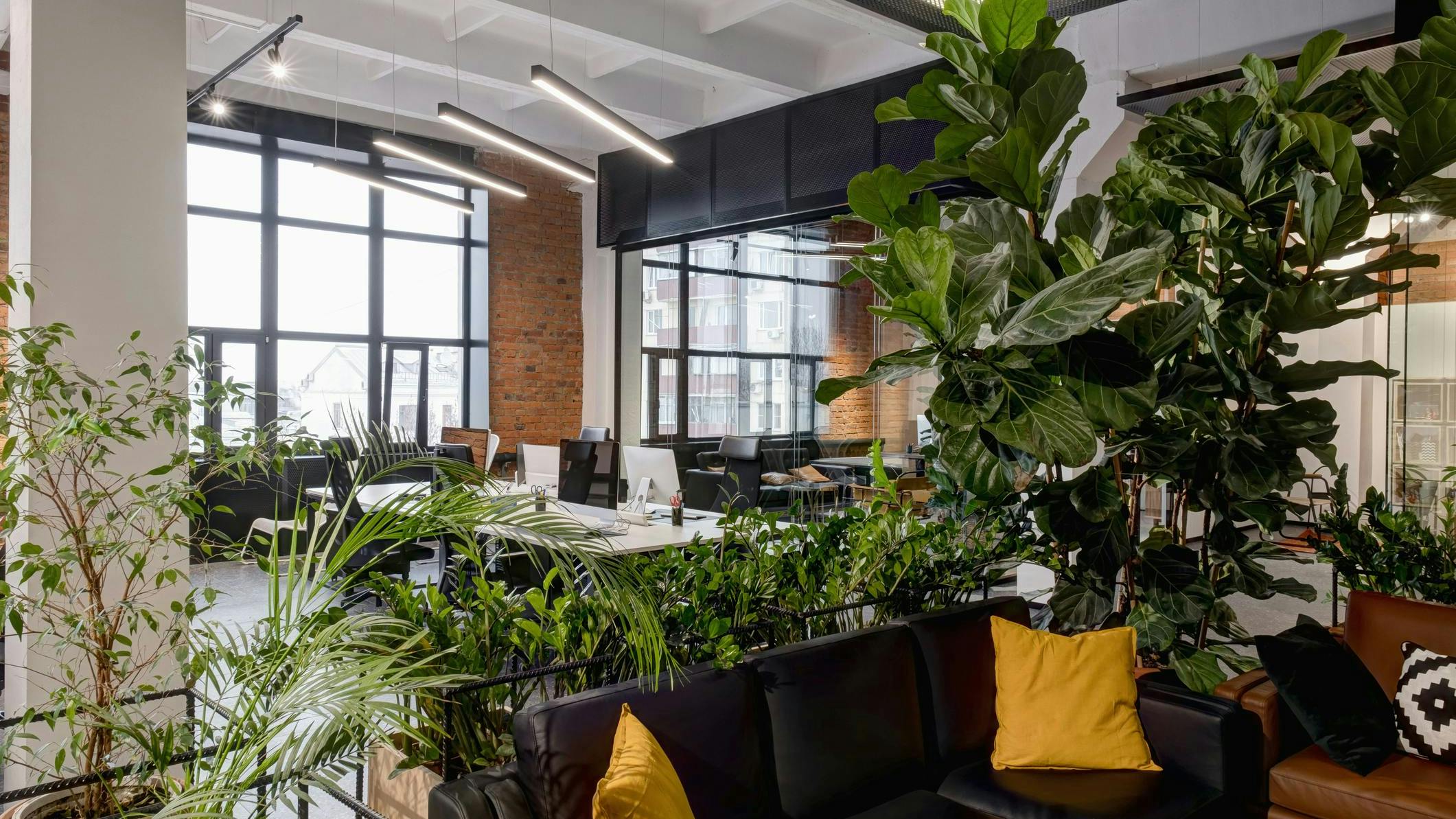 Modern, casual office space with indoor plants.