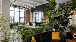 Modern, casual office space with indoor plants.
