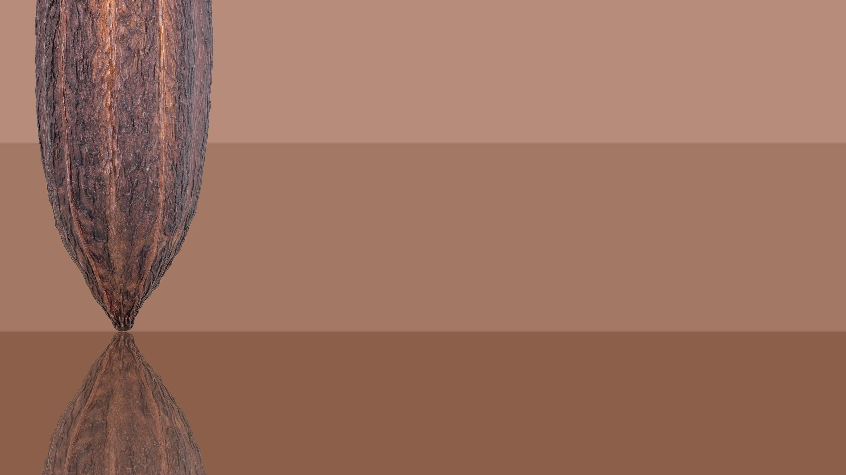 Pantone&rsquo;s Color of the Year&mdash;Mocha Mousse 17-1230&mdash;can be used in multiple depth levels and accent techniques to create a harmonious yet luxe backdrop in interior environments.