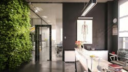 Rendering of modern office with plant wall and ample daylight. Rendering of modern office with plant wall and ample daylight.