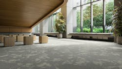 Mohawk Group Fractal Findings carpet in commercial/educational setting Mohawk Group Fractal Findings carpet in commercial/educational setting