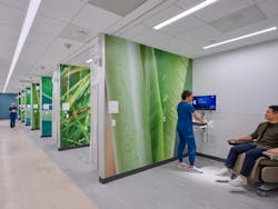 Nature imagery adorns the privacy dividers between infusion spaces. Nature imagery adorns the privacy dividers between infusion spaces.