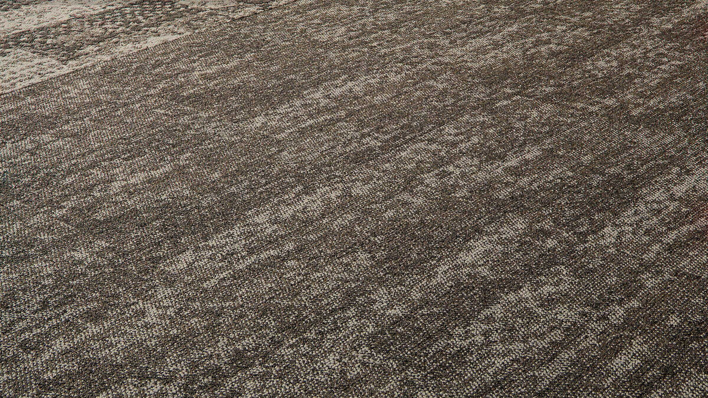 Tides collection of carpet in earth tones.