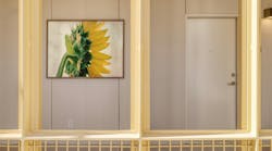 Oversized print of sunflower hanging on wall. Oversized print of sunflower hanging on wall.
