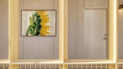Oversized print of sunflower hanging on wall. Oversized print of sunflower hanging on wall.