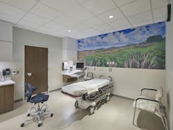 Individual treatment room features a nature-inspired meadow scene on one wall Individual treatment room features a nature-inspired meadow scene on one wall