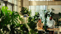 Two business people talking at table surrounded by plants.