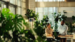 Two business people talking at table surrounded by plants. Two business people talking at table surrounded by plants.