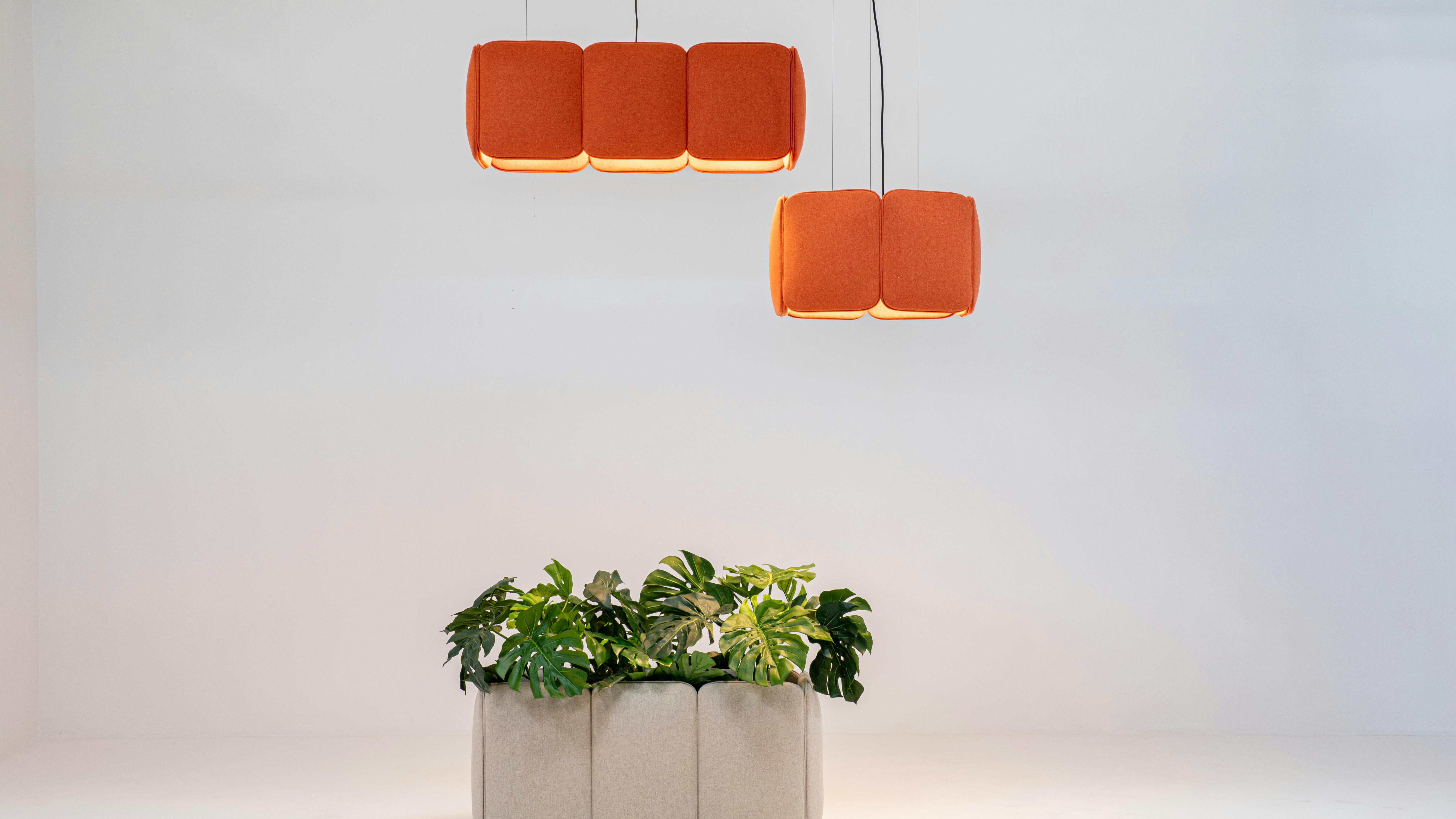 BuzziSpace's BuzziChicle Lights in round and rectangle suspended over a planter.