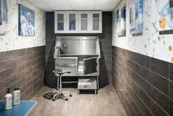 A tiled washroom in a mixed-use property is equipped for bathing residents' dogs A tiled washroom in a mixed-use property is equipped for bathing residents' dogs
