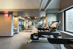 Residential fitness room with cardio machines, weight-lifting apparatus. and free weights with sleek, durable, minimalist finishes Residential fitness room with cardio machines, weight-lifting apparatus. and free weights with sleek, durable, minimalist finishes