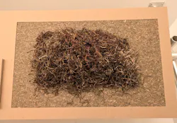 Søuld’s raw eelgrass plant material on display at Fulton Market Design Days. Søuld’s raw eelgrass plant material on display at Fulton Market Design Days.