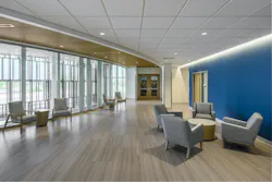 In healthcare spaces, robust wood-look laminates, flooring, and surfaces that stand up to heavy use and cleaning can also provide low-stimulation visual impact that reads comfortable rather than clinical.