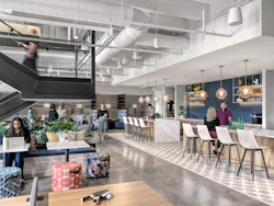 An open floorplan space offers soft barriers for different zones, such as independent work, group conversation, and coffee breaks